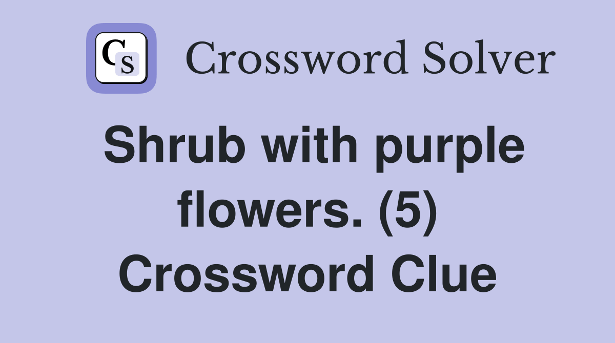 Shrub with purple flowers. (5) - Crossword Clue Answers - Crossword Solver